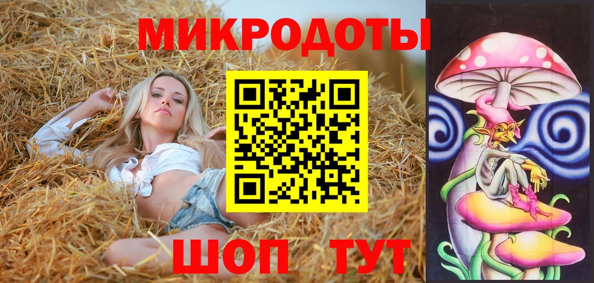 Псилоцибиновые грибы Psilocybe  Вход с VPN  Белгород 